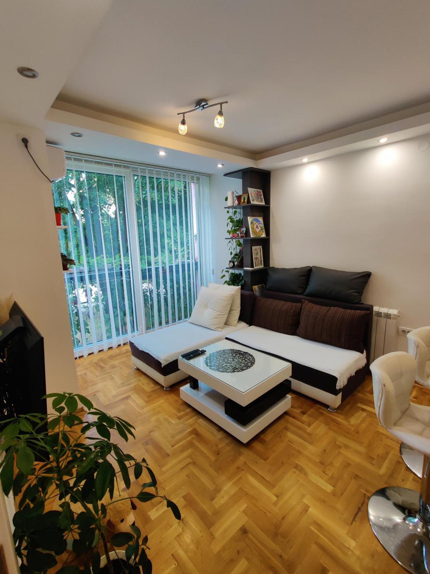 Ana Novi Sad